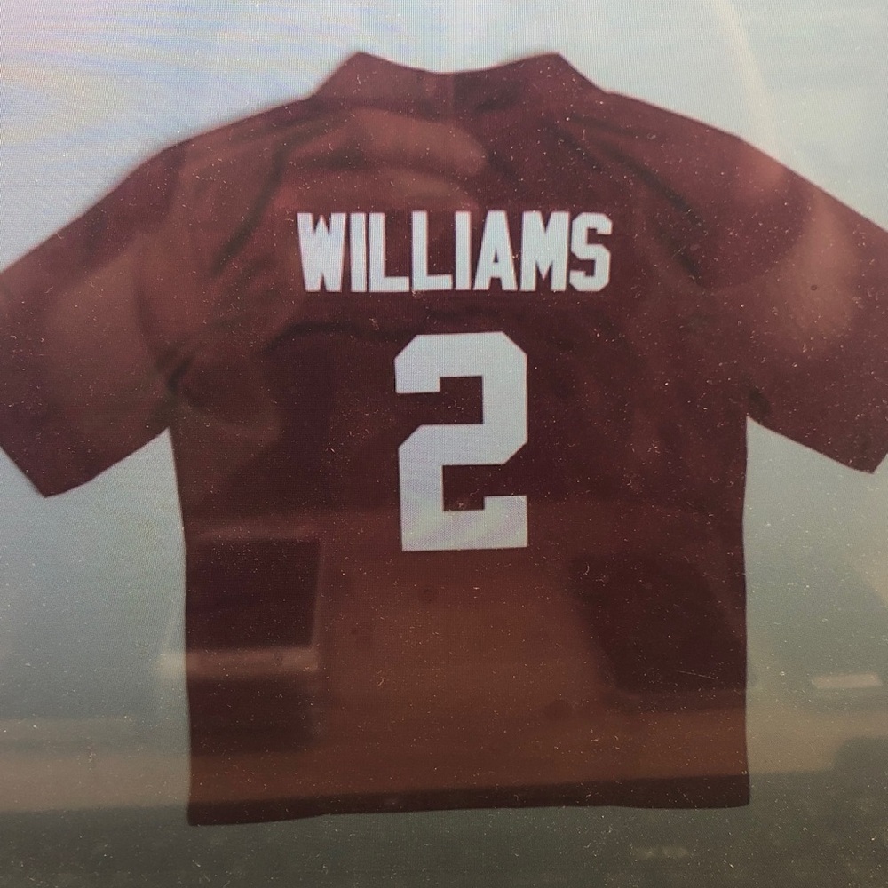 😁Ryan Williams Crimson Stitched Jersey Vapor Red☺️